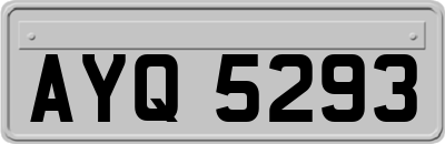 AYQ5293