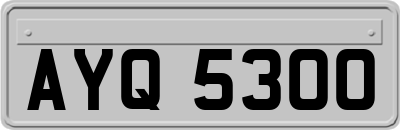 AYQ5300