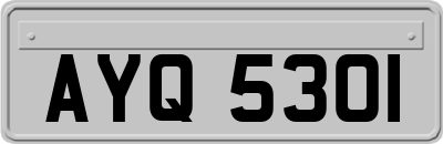 AYQ5301