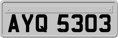 AYQ5303