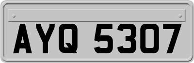 AYQ5307