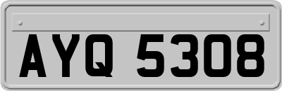 AYQ5308