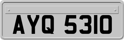 AYQ5310
