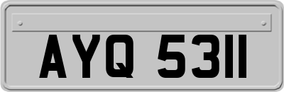 AYQ5311