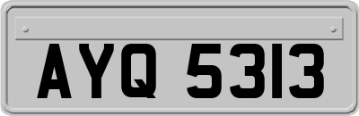 AYQ5313