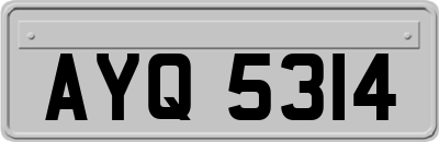 AYQ5314