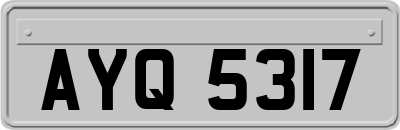 AYQ5317