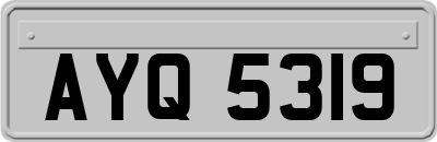 AYQ5319