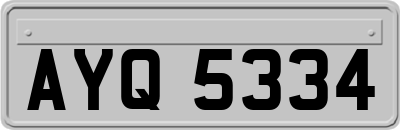 AYQ5334