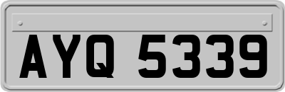AYQ5339