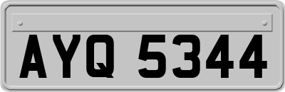AYQ5344