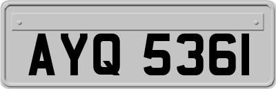 AYQ5361