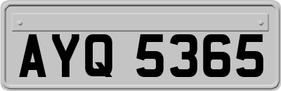AYQ5365