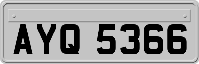 AYQ5366