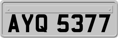 AYQ5377