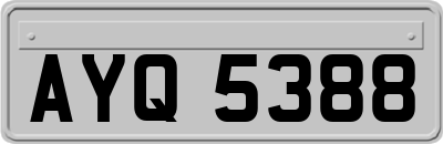AYQ5388