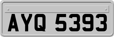 AYQ5393