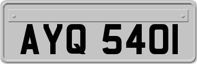 AYQ5401