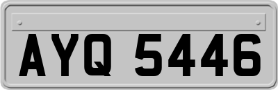 AYQ5446
