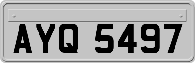 AYQ5497