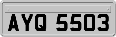 AYQ5503