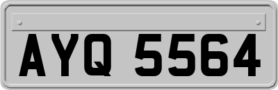 AYQ5564