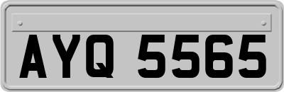 AYQ5565