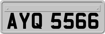 AYQ5566