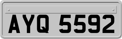 AYQ5592
