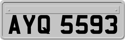 AYQ5593