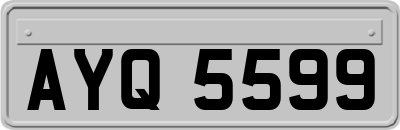 AYQ5599