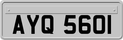 AYQ5601