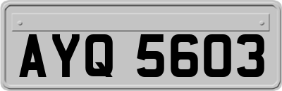 AYQ5603
