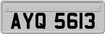 AYQ5613