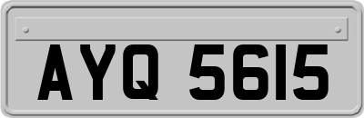 AYQ5615