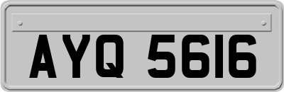 AYQ5616
