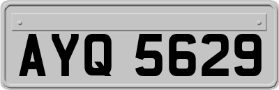 AYQ5629