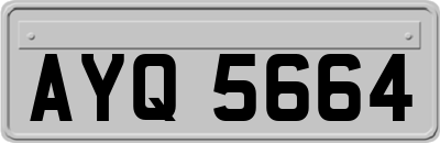 AYQ5664