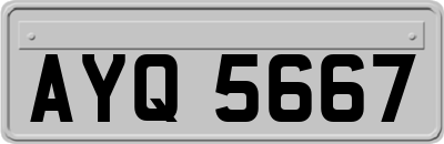 AYQ5667