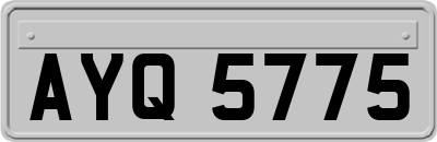 AYQ5775