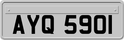 AYQ5901