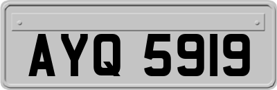 AYQ5919