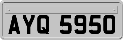 AYQ5950