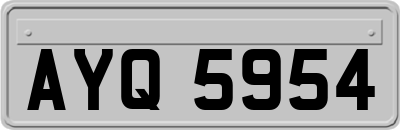 AYQ5954