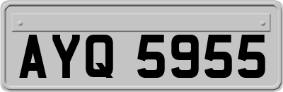 AYQ5955