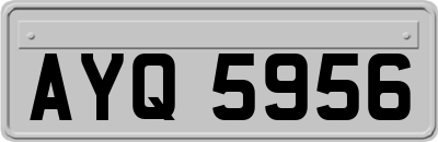 AYQ5956