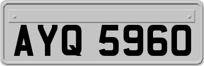 AYQ5960