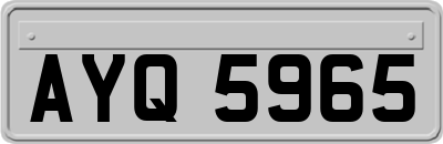 AYQ5965