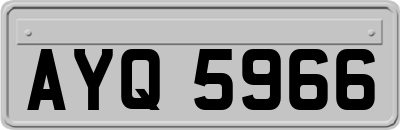 AYQ5966