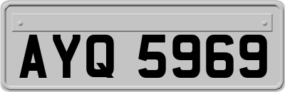 AYQ5969